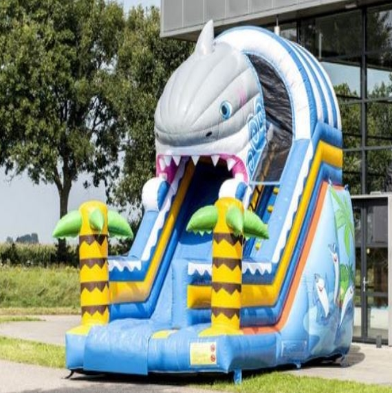 Toboggan Requin