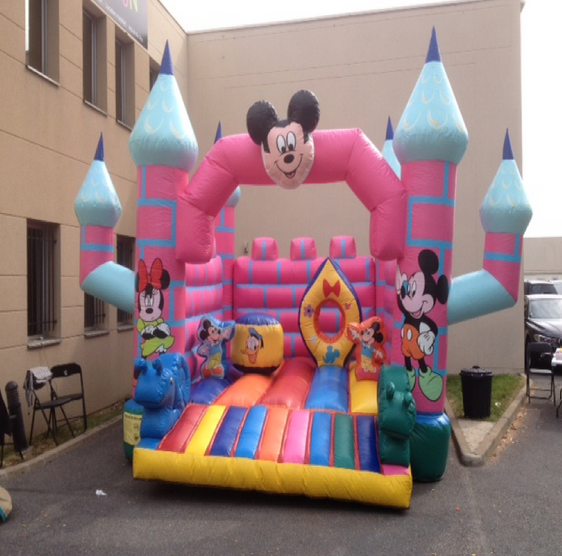 Château Mickey